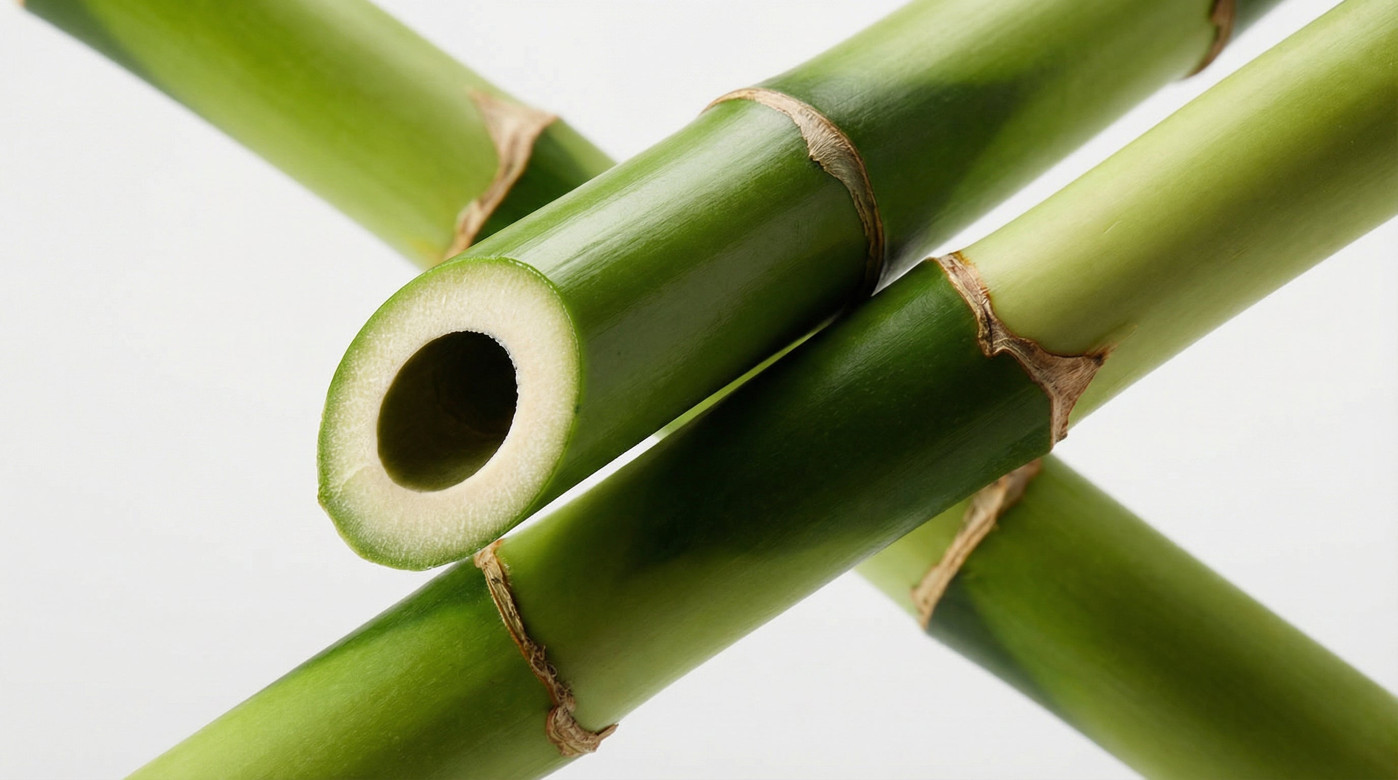 Bamboo Extract (Providing Silica)